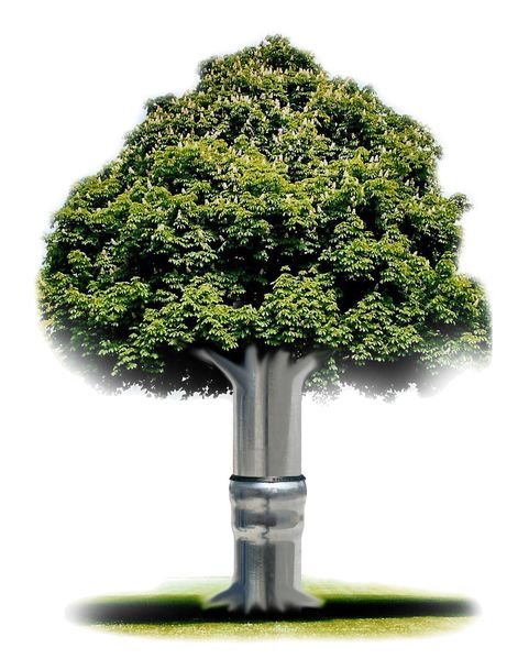 Datei:Nachhaltigkeit Baum.jpg